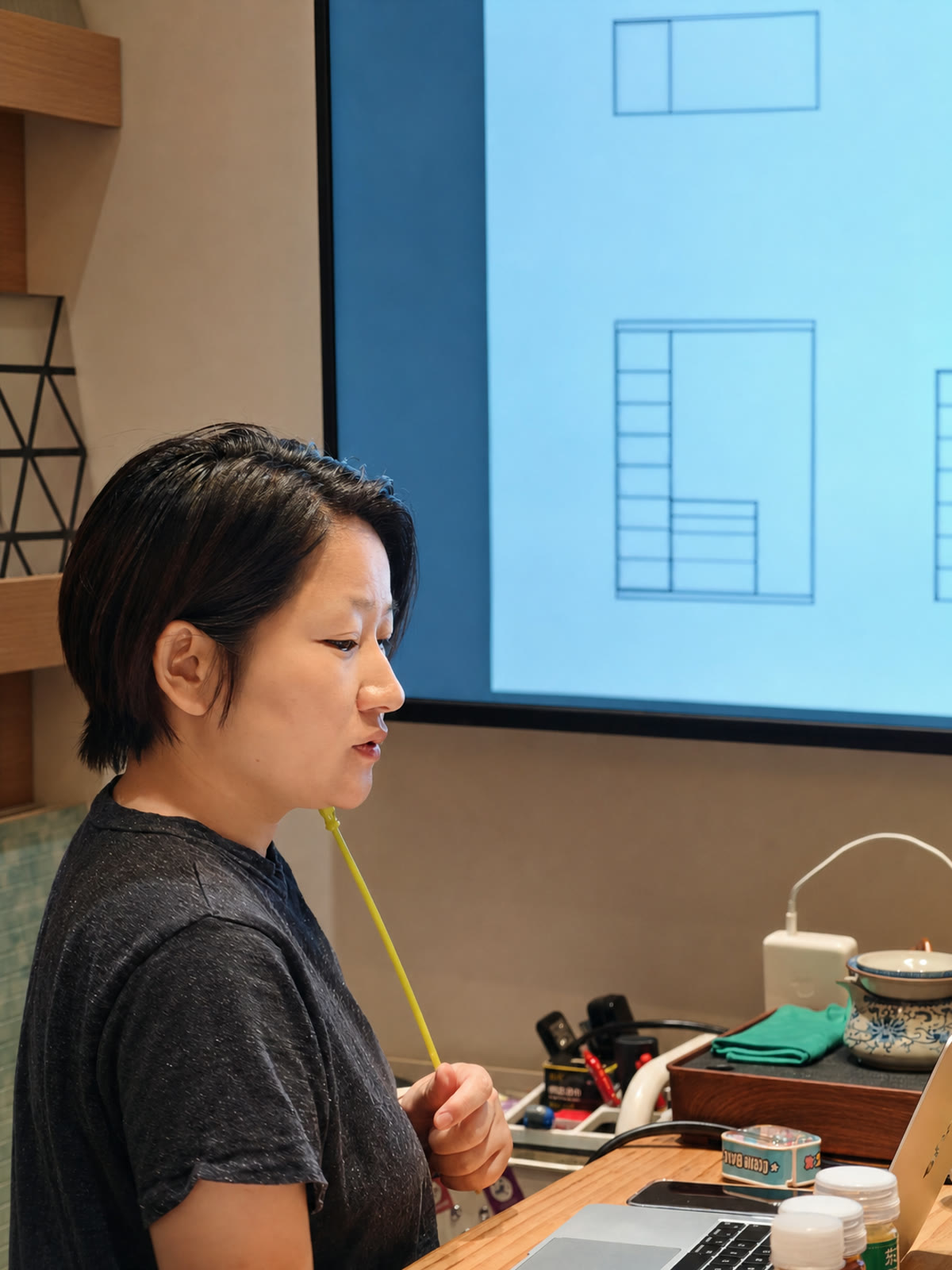 果妈970 在客户现场讲解柜体方案